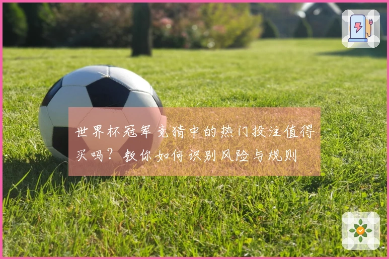 世界杯冠军竞猜中的热门投注值得买吗？教你如何识别风险与规则
