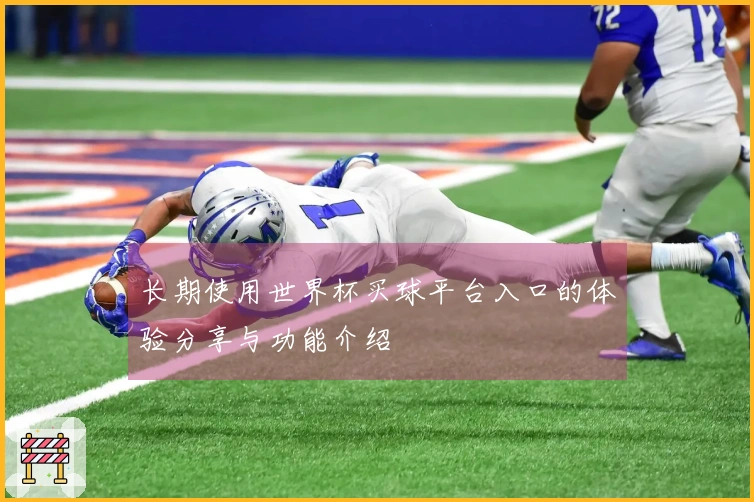 长期使用世界杯买球平台入口的体验分享与功能介绍