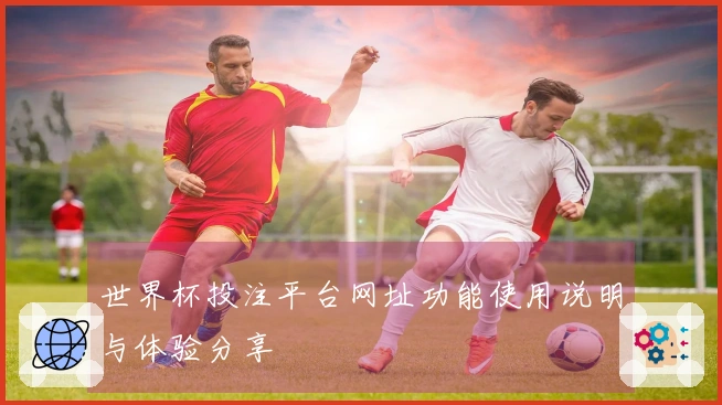 世界杯投注平台网址功能使用说明与体验分享