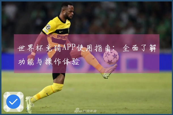 世界杯竞猜APP使用指南：全面了解功能与操作体验