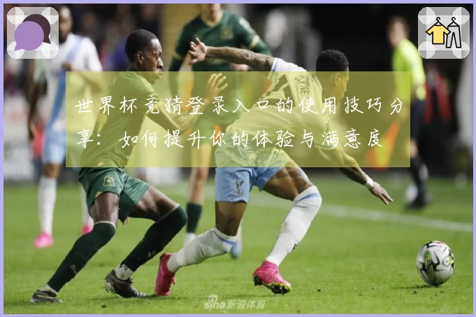 世界杯竞猜登录入口的使用技巧分享：如何提升你的体验与满意度