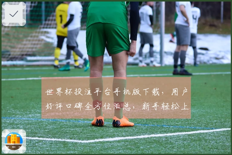 世界杯投注平台手机版下载，用户好评口碑全方位汇总，新手轻松上手看过来