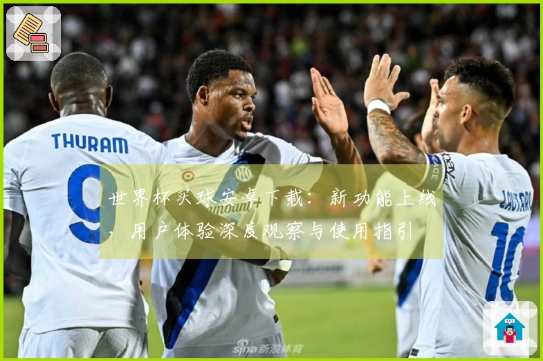 世界杯买球安卓下载：新功能上线，用户体验深度观察与使用指引