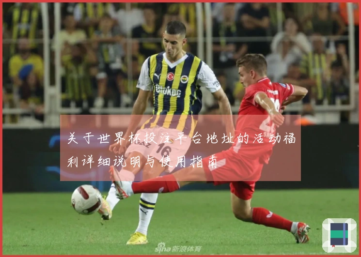 关于世界杯投注平台地址的活动福利详细说明与使用指南