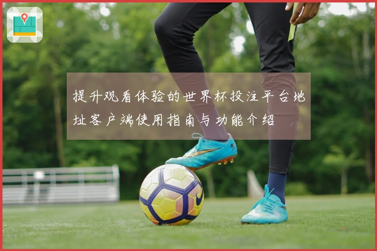 提升观看体验的世界杯投注平台地址客户端使用指南与功能介绍