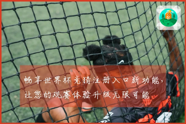 畅享世界杯竞猜注册入口新功能，让您的观赛体验升级无限可能