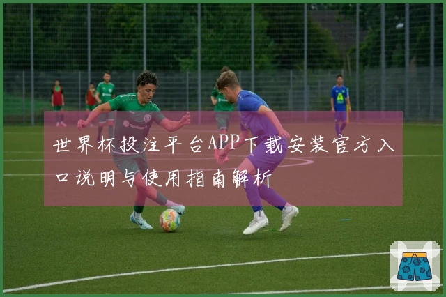 世界杯投注平台APP下载安装官方入口说明与使用指南解析