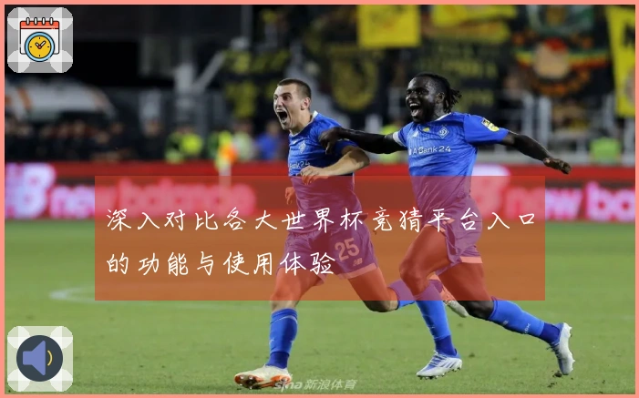 深入对比各大世界杯竞猜平台入口的功能与使用体验