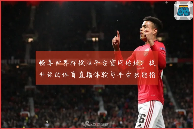 畅享世界杯投注平台官网地址：提升你的体育直播体验与平台功能指南
