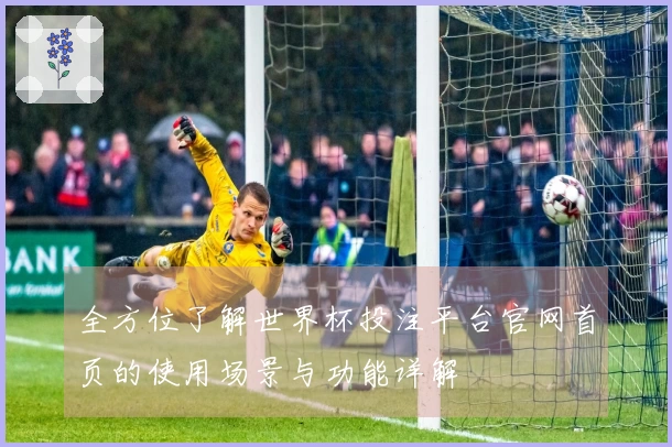 全方位了解世界杯投注平台官网首页的使用场景与功能详解